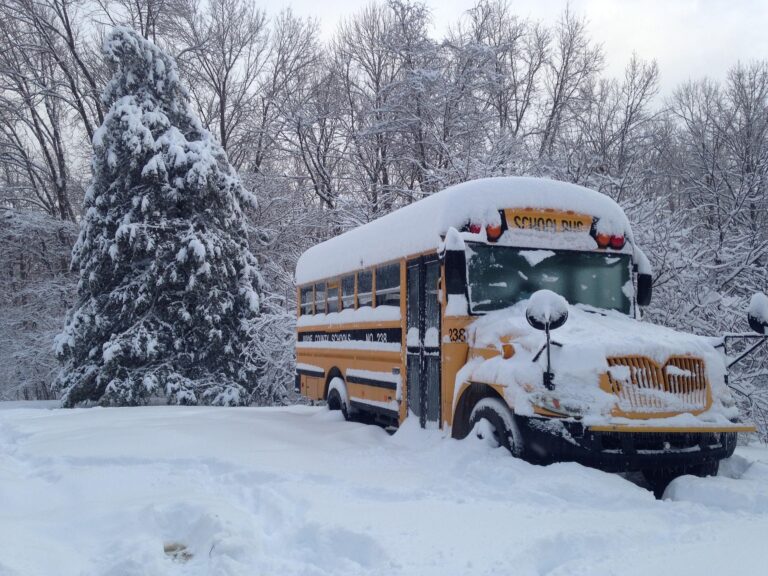 bus-1806454_1920