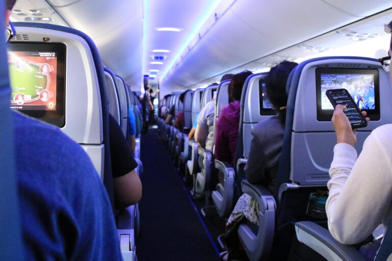 flight-4516478_1920