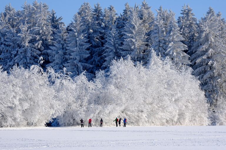 winter-6762640_1280