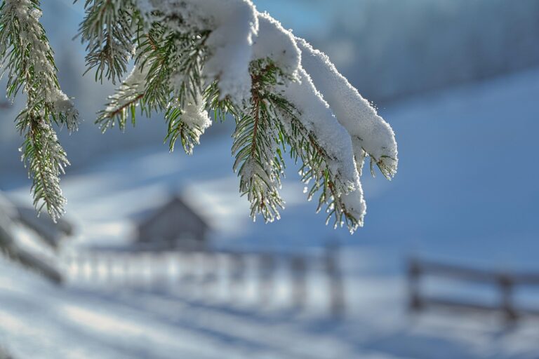 winter-7661769_1280