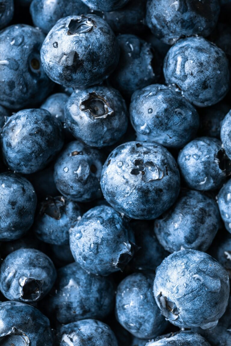 melissa-belanger-usE0kpV_yLo-unsplash
