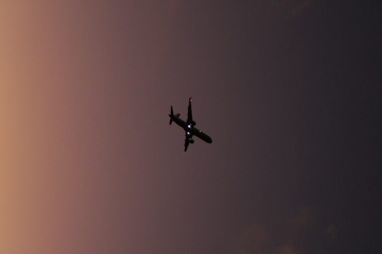 bryan-castellanos-XR-XbAOSSF8-unsplash
