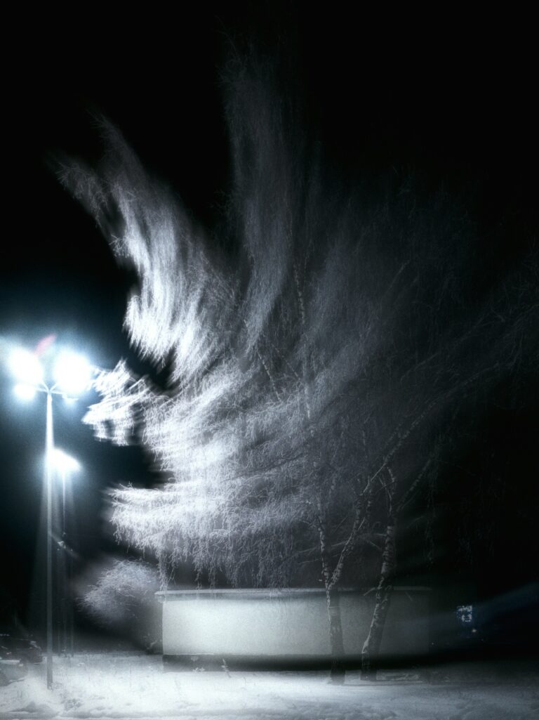egor-litvinov--XMHwp4fI1I-unsplash