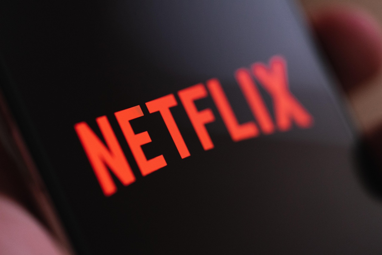 netflix-7025347_1280