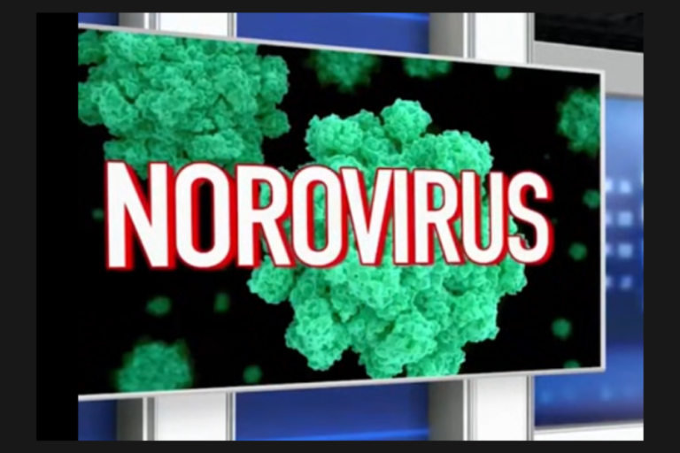 Norovirus