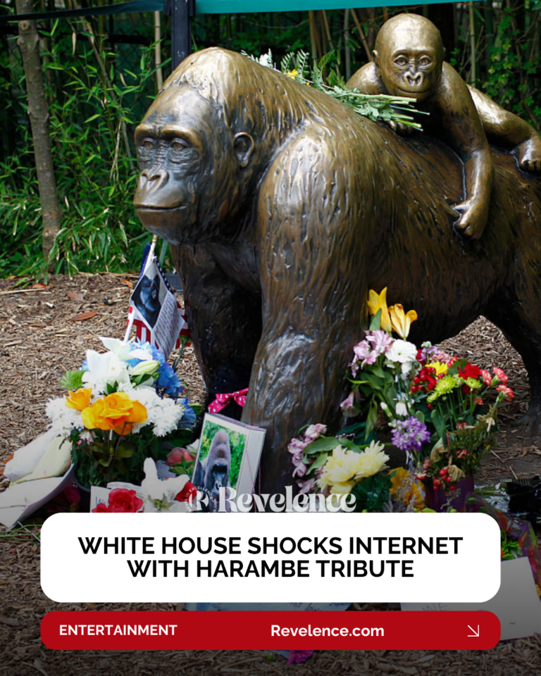 White House shocks internet with Harambe tribute