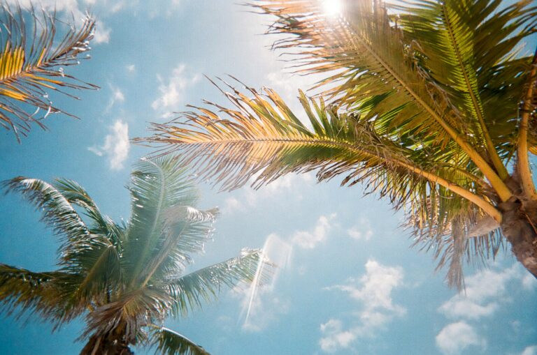 jorge-vasconez-CpeUoLVTAs8-unsplash