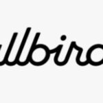 Allbirds AI rebrand: Smartbird pivot sends stock soaring
