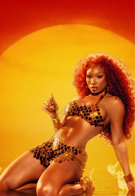 MegTheeStallion2