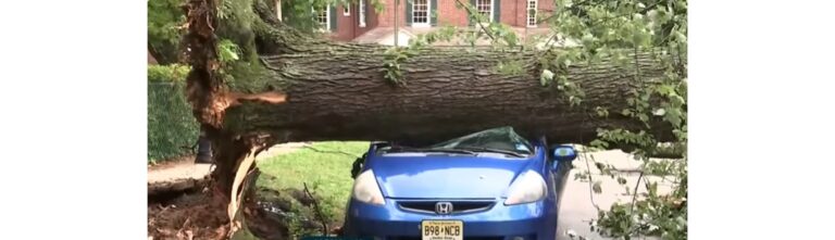 Philadelphia severe storms rip apartment roof amid microburst
