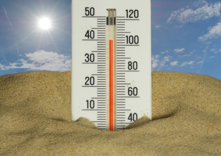 Deadly US Heat Wave Kills at Least 30 People