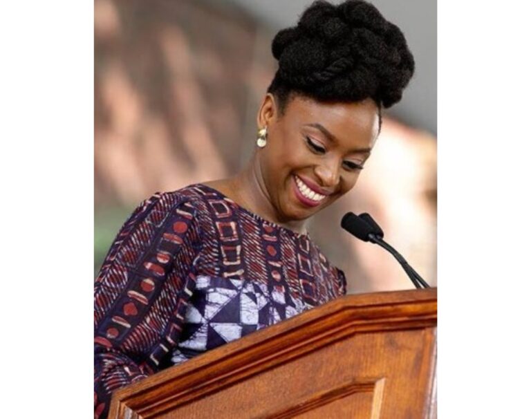 Chimamanda Ngozi Adichie racism comments spark debate