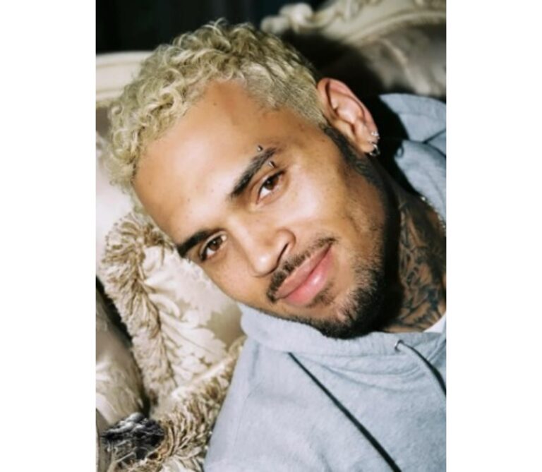 Chris Brown Fights $12.9M Dog-Bite Verdict in Court