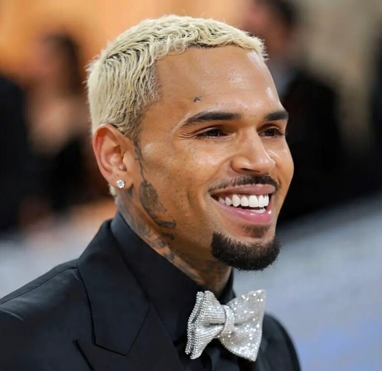 Chris Brown Asks Judge to Excuse Him From Court Hearing