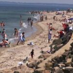 Martha’s Vineyard Polar Bears Celebrate 80 Years of Tradition