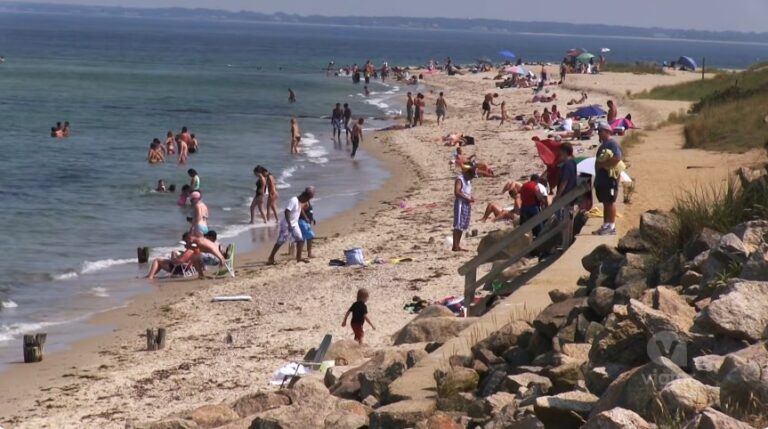 Martha’s Vineyard Polar Bears Celebrate 80 Years of Tradition